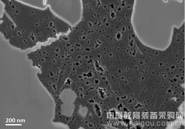 新型扫描电镜样品制备系统解决抛光苦恼